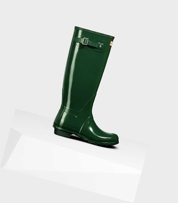 Bottes Hautes Hunter Original Gloss Wellington Femme Vert | 93041NMGH